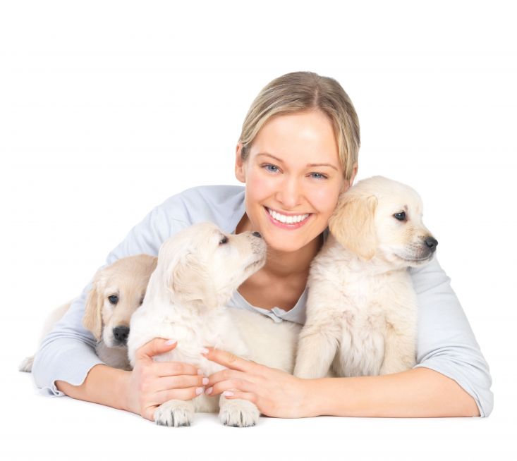 How Pets and Owners Benefit From Puppy Training Classes in Chicago