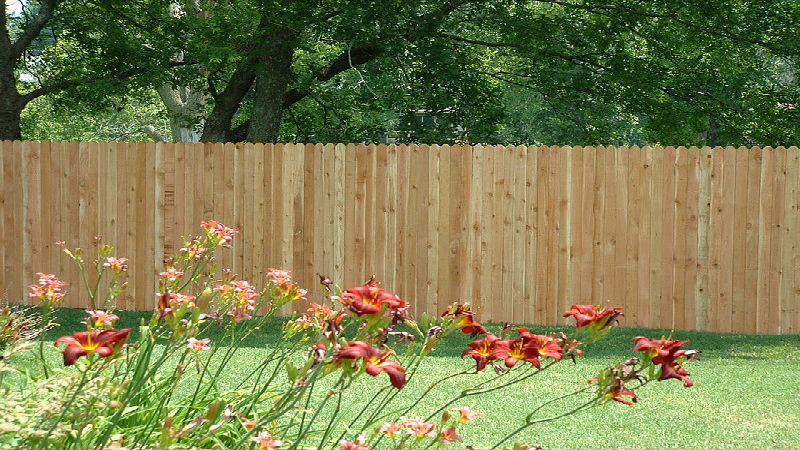 When to Search for Fence Repair Near Me: Expert Suggestions and Timing