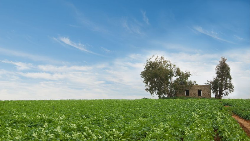 Using Professional Services like Ag Consulting in Avon, IN, for Farming