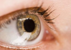 The Importance of Seeking Prompt Cataract Treatment in Nocatee