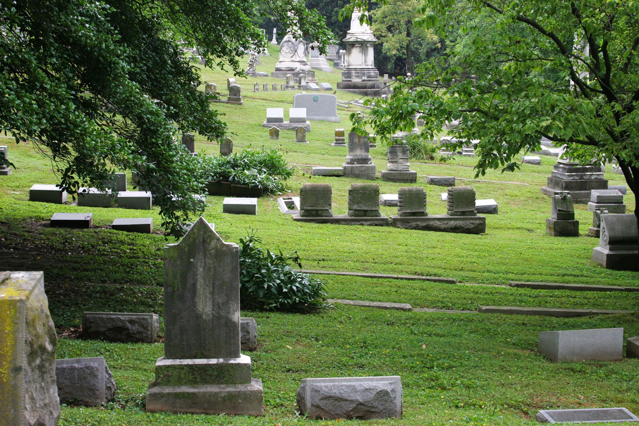 4 Questions to Ask Your Cemetery Company