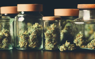 The Benefits of Cannabis Delivery in Nassau, NY