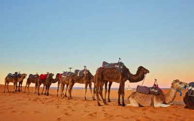 Embark on a Memorable 3-Day Desert Tour from Marrakech to Fes: A Journey Through Morocco’s Majestic Landscapes